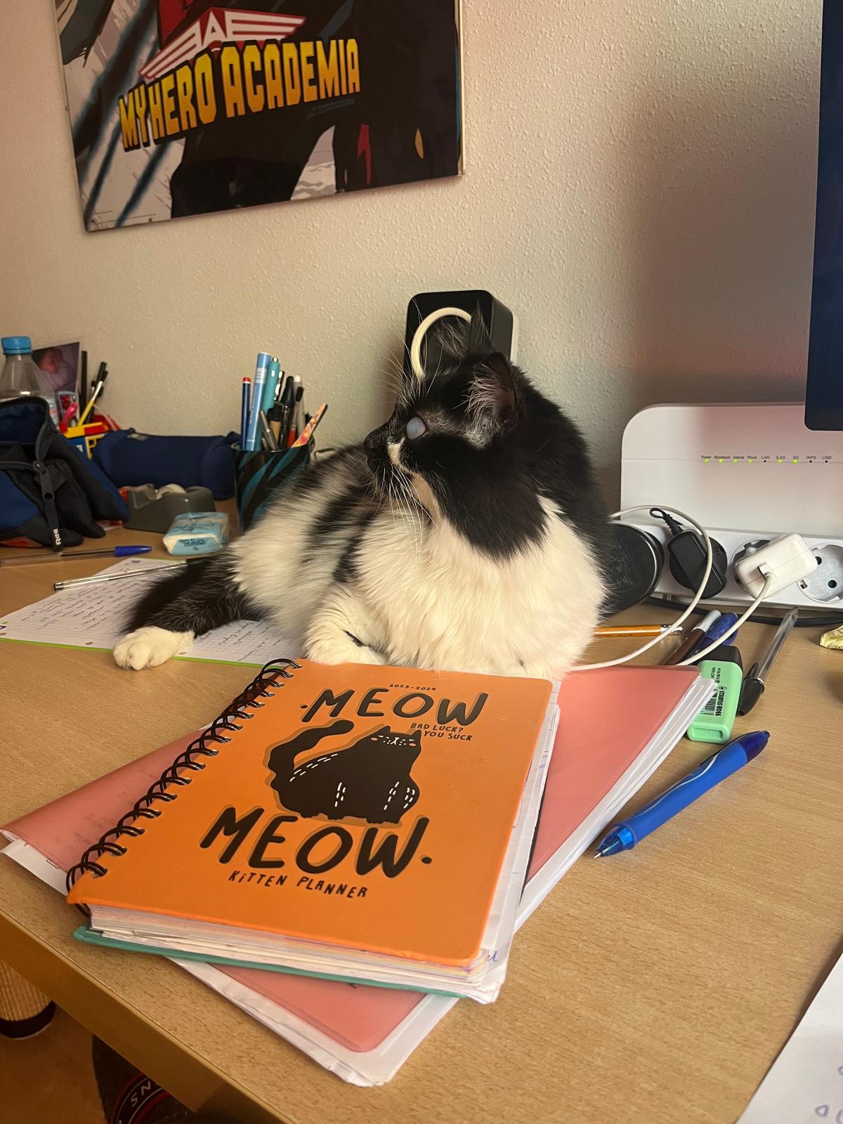 Te gustaba mucho estudiar