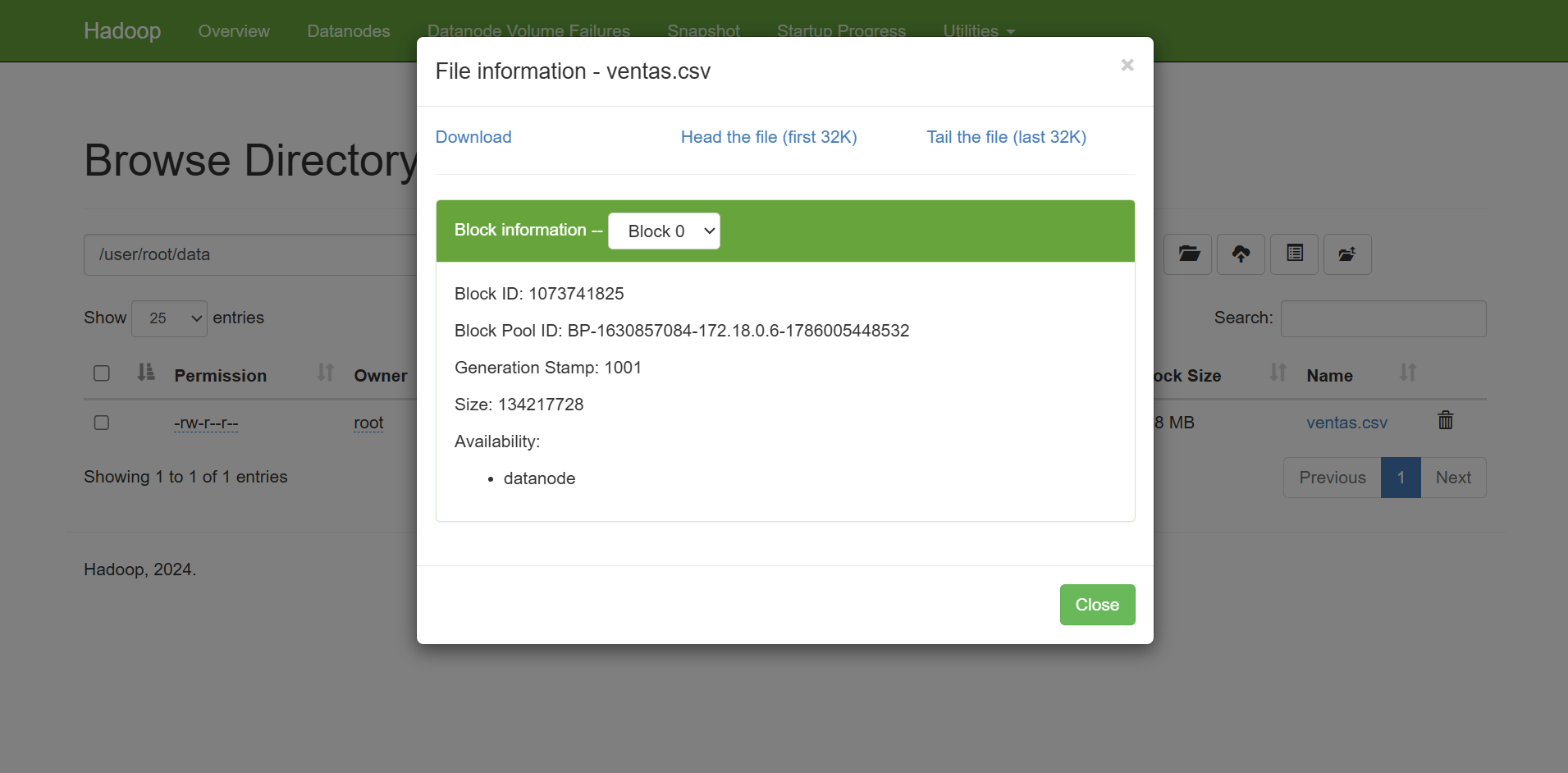 Acceso a los datos desde el Hadoop UI